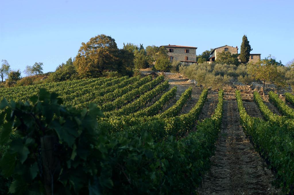 Collelungo Guest House Castellina in Chianti Bagian luar foto