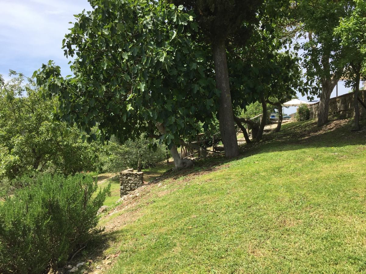 Collelungo Guest House Castellina in Chianti Bagian luar foto
